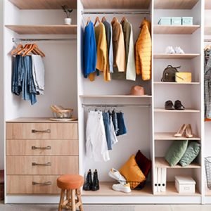 Walk-in closet with stylish female clothes